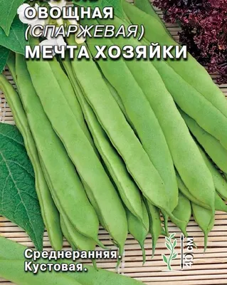 Семена Фасоль спаржевая Ольга, Садыба центр (20 г) (ID#1720289582), цена:  30 ₴, купить на Prom.ua