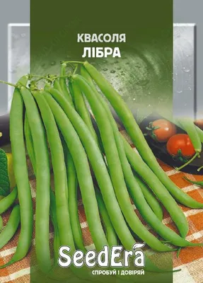 Купить семена Фасоль спаржевая Ремембер в Минске и почтой по Беларуси
