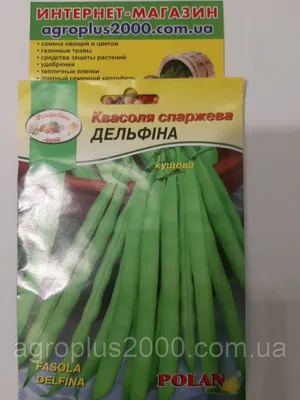 Семена Фасоль спаржевая Грибной Аромат, зеленая, кустовая / 1 кг ✔️ 180  грн. ᐉ Семена бобовых культур в Обухове на BON.ua 89668802