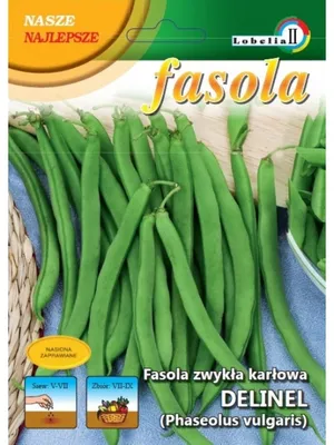 Семена Фасоль спаржевая кустовая Дельфина 20 граммов PNOS: продажа, цена в  Харькове. Семена и рассада овощных культур от \"Агроплюс2000\" - 1146703315