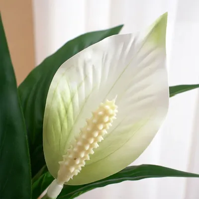 Купить Спатифиллум искусственный 47 см, 15 листьев, 3 цветка по выгодной  цене в интернет-магазине OZON.ru (825068336)