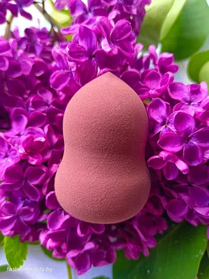 Купить Beauty Powder Puff спонжик для нанесения тональных средств (  бордовый) IMAGES — интернет-магазин fashionbeauty | Магазин косметики