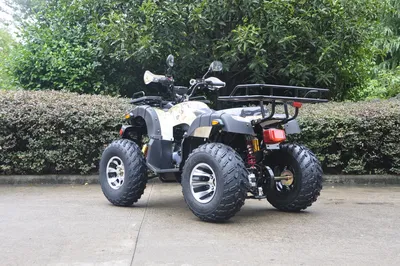 Квадроцикл QuadRaider 450 спортивный