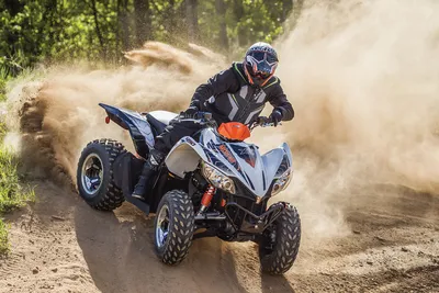 Новый квадроцикл Arctic Cat XC 450 Sport 4x4