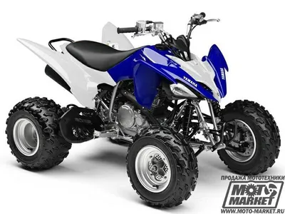 Спортивный квадроцикл Yamaha Raptor 250 R. Описание, фото и техническая  характеристика квадроцикла Yamaha Raptor 250 R. Низкие цены на Raptor 250  R, доставка по России и странам СНГ (по Москве - бесплатно),