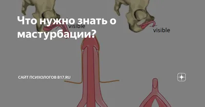 Способы анальной мастурбации – как начать получать удовольствие | Wish  школа для женщин