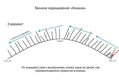 Самые модные виды наращивания ресниц - Голливуд, резкая лиса и кукла\" |  16.01.2021 | Владимир - БезФормата