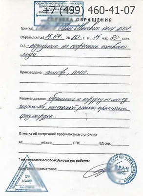 Просто проехался по мне и уехал». В Саранске оперативники осмотрели машину  сторонника Навального. Он оказался в травмпункте