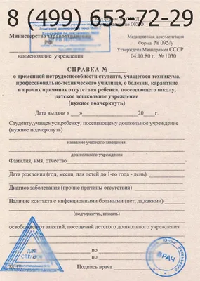 Справка: все статьи о работе со справками 2023: статьи, новости и другие  полезные материалы - ППТ