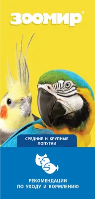 Ожереловый попугай: особенности содержания и ухода - Зоомагазин MasterZoo