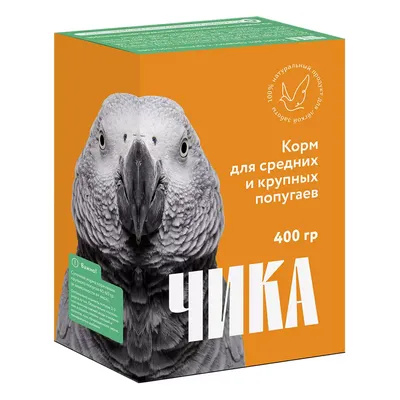 Кольчатый Ожереловый попугай зеленый купить в Москве по доступным ценам.  Зоомагазин Malinki ZooStore.