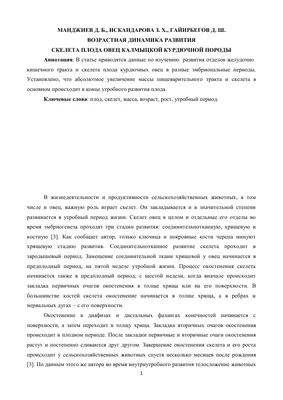 Первые стадии зародышевого развития. Формирование и развитие плода. 9 класс  - презентация онлайн