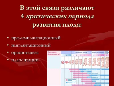 Лечение и диагностика задержки внутриутробного развития плода в ЕМС