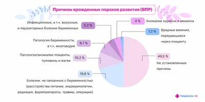 Основные этапы внутриутробного развития во время беременности