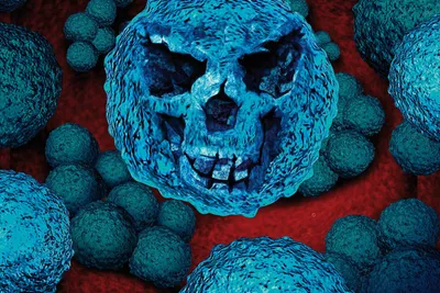 Комменсалы человеческой кожи для бактериотерапии атопического дерматита и  использования в фазе 1 рандомизированного клинического испытания  (аннотация) | Новости