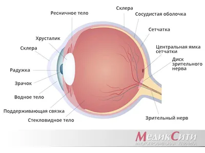 Эффективное медикаментозное и хирургическое лечение ячменя века