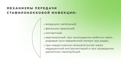 Золотистый стафилококк резистентный к метициллину | Проблема лежачих и  ослабленных пожилых пациентов | НОВОСТИ ДОЛГОЛЕТИЯ (Проспект Гормезиса) |  Дзен