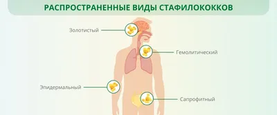 Пиодермия у взрослых: лечение, рекомендации, симптомы