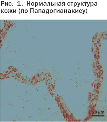 Бактериофаг стафилококковый: применение при золотистом стафилококке,  лечение антистафилококовым бактериофагом, инструкция, противопоказания и  состав | Bacteriofag.ru