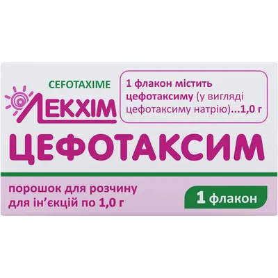 15-минутная консультация по поводу зуда у собак - флипбук страница 1-50 |  PubHTML5