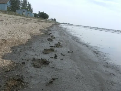 Вот такой пляж в Ялте... | Пикабу