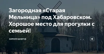 Загородная «Старая Мельница» под Хабаровском. Хорошое место для прогулки с  семьей! | Кирилл Добров | Дзен