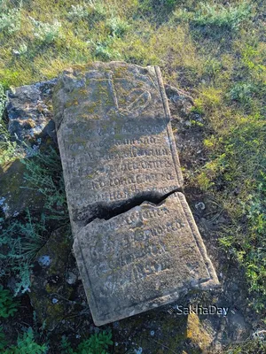 Старинные надгробия с надписью на польском языке на кладбище на улице  минская :: Бобруйск - Разное