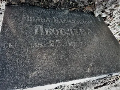 На кладбище в Тверской области нашли старинные еврейские надгробия - STMEGI