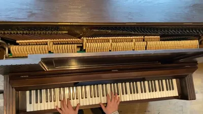 Играй, рука: где в Подмосковье собраны самые старые рояли?