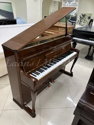 Пианино вертикальное Kayserburg KX1 купить в Минске, цена, отзывы
