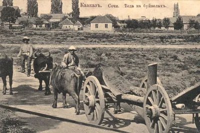 Аэропорт Сочи, старый, международный зал (Sochi airport, old building,  international entrance)