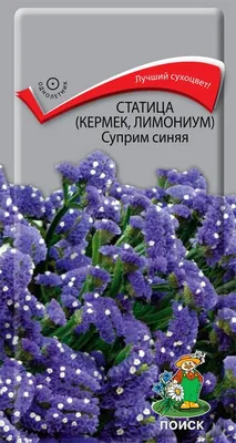 Семена ПОИСК Статица Суприм голубая 0,15г купить в Томске