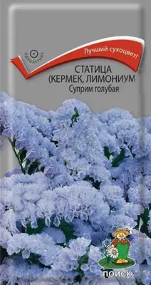 Купить Статица Суприм синяя Поиск по цене 24 руб. в Иркутске в  интернет-магазине | РОЩА