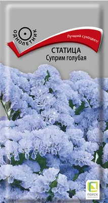 Отзыв о Семена Поиск \"Статица Суприм голубая\" | Когда ждёшь одно, а  получаешь ещё лучше. Цветок, который меня удивил.