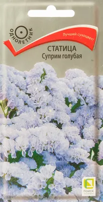 Статица Суприм Голубая семена купить в Москве по цене 31 руб. с доставкой ☆  Интернет-магазин Садовый Мир ☎ 8 (499) 641-15-01