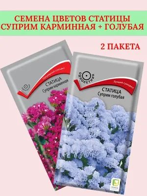 Семена Статица \"Суприм Синяя\" купить по цене 53.9 ₽ в интернет-магазине  KazanExpress