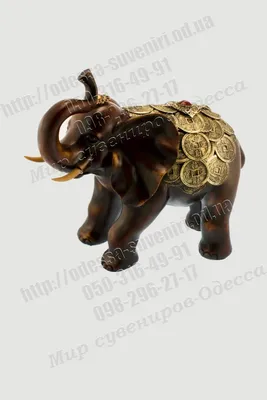 Декоративная статуэтка 7 слонов купить в Киеве. Заказать статуэтки слоны в  интернет-магазине multiphoto.com.ua