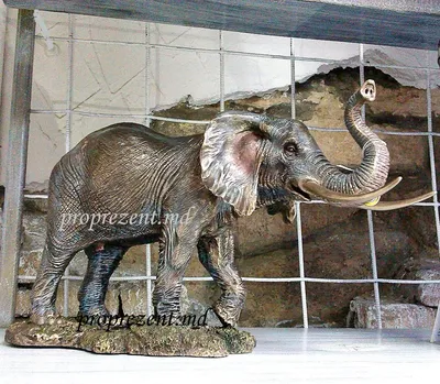 Статуэтки фигурки слонов купить в СПб