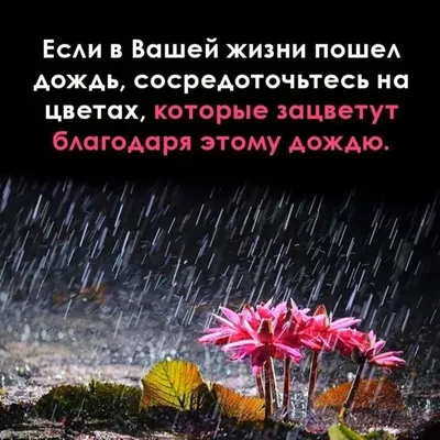 792 отметок «Нравится», 1 комментариев — Статусы со смыслом (@citativk) в  Instagram | Цитаты, Вдохновляющие цитаты, Стихи