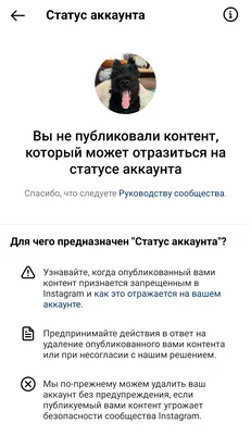 В Instagram появились новая функция — статусы