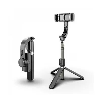 Zerodis PRO Handheld Steadycam Video Stabilizer for Digital Camera  Camcorder DV for DSLR/SLR - Walmart.com