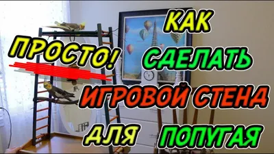 Игровой стенд для птиц, тренажерный зал, игровая площадка для попугаев,  поднос для качелей, деревянная лестница | AliExpress