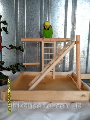 Поделки для попугая своими руками из дерева (57 фото) - фото - картинки и  рисунки: скачать бесплатно