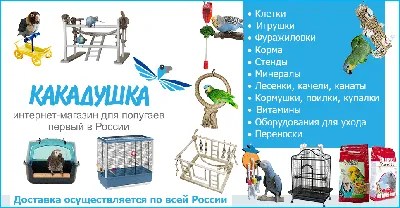 Купити Присада для папуги — XXL. (Дерево Ява) в Києві від Afrikan Parrot -  25180611