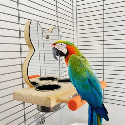 Игровые стенды, Присады (стойки) для крупных и средних попугаев с картинками