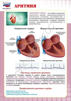 Анатомия: сердце (арт. МЕД-09) информационные стенды медицинских учреждений  купить в интернет магазине с доставкой