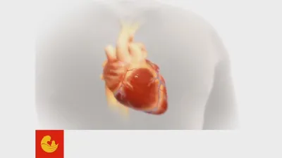 Аортокоронарное шунтирование сердца | Ведущие доктора | Лучшие клиники |  Отзывы | Patient-mt.ru