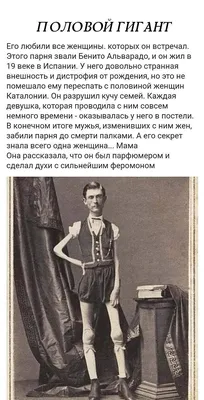 Надя Дорофеева, Виктор Павлик - где будут выступать в Новый год, цена  билета - Show