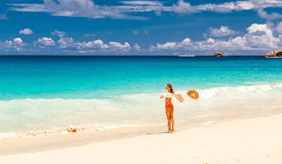 Искусство Красивые Нетронутой Тропический Пляж Море — стоковые фотографии и  другие картинки Без людей - iStock