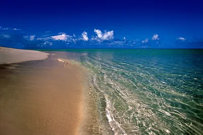 Море солнце и песок профессиональное…» — создано в Шедевруме